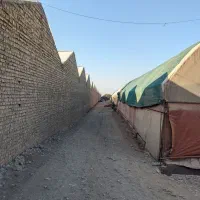 زمین و گلخانه|فروش دفتر صنعتی، کشاورزی، تجاری|پاکدشت, پاکدشت (مامازند)|دیوار