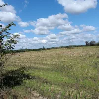 5 هزار متر زمین شالیزار/مکانیزه در لفمجان