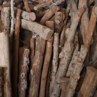 هرس خشکبری خریدار چوب سمپاشی محوطه سازی نگهداری
