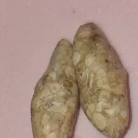 فال سرکتاب دعا