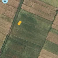 ۱۰۰۰متر شالیزار مکانیزه