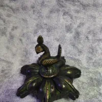 جا رنگی یا ارایشی