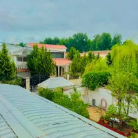 ویوو-رو-ببین-زمینو-بخر-با-سندمدارک