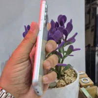 S23 Fe 5g باشرایط اقساط|موبایل|سبزوار, ابوریحان|دیوار