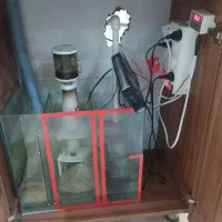 آکواریوم|ماهی|سنندج, |دیوار