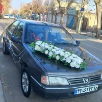 دیزاین ماشین عروس ۶۰۰هزار تومان