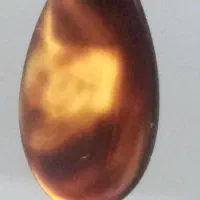 جواهر گردنبند  یشم سیاه اصل اصل|جواهرات|اردبیل, |دیوار