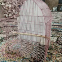 قفس پرنده