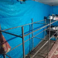 قفسه پرورش قارچ