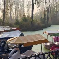 نیروی ساده خانم جهت کار در عکاسی|استخدام هنری و رسانه|سنگر, |دیوار