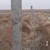 فنس کشی و نصب تیرچه|خدمات باغبانی و درختکاری|ابهر, |دیوار