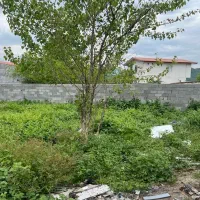 ۲۷۳ متر زمین مسکونی در شهرک نصیرنیا