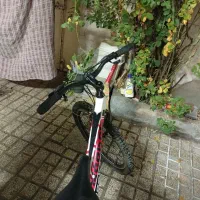 دو عدد دوچرخه نو نو