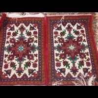 پادری خوشبافت جفت