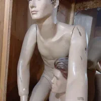 مانکن تمام رخ ونیم رخ قیمت استسنایی|فروشگاه و مغازه|شاهرود, |دیوار