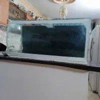 آکواریوم شیشه خم با وسایل کامل