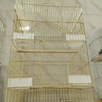 پرنده سرای امیر|پرنده|شیراز, کرونی(خاتونک)|دیوار