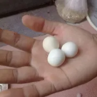 شهاب سنگ