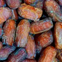 خرمای پیارم درجه ۱ گوشتی و بسیار با کیفیت|خوردنی و آشامیدنی|شیراز, باغ تخت|دیوار