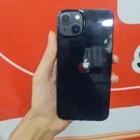 13 normal