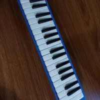 ملودیکا|پیانو، کیبورد، آکاردئون|بندر انزلی, جهانگانی|دیوار