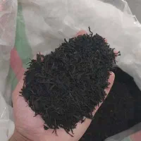 چای بهاره ساچمه ای ایرانی