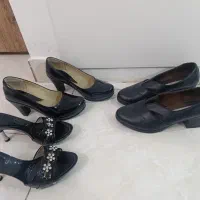 کفش و دمپایی مجلسی شیک زنانه