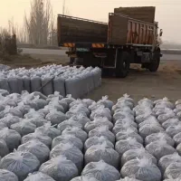 تفاله چغندر مناسب دام سبک و سنگین