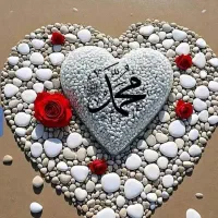 مدارک گم شده شناسنامه کارت ملی