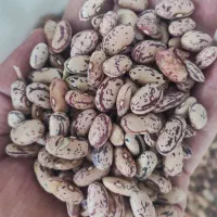 حبوبات فله ایی