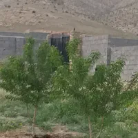 فروش باغ ۲۰۰ و ۳۰۰ متری در شهرک خور هشتگرد