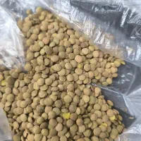 عدس|خوردنی و آشامیدنی|اصفهان, رزمندگان|دیوار