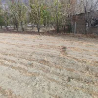 زمین1500متری جلوجادهحاجیآبادبروجرد|فروش زمین و ملک کلنگی|سیلاخور, |دیوار