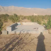 باغ میوه|فروش دفتر صنعتی، کشاورزی، تجاری|نهاوند, |دیوار