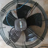 فن بزرگ