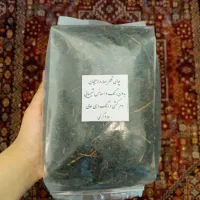 چای قلم بهاره لاهیجان