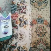 حراج شویندهای اصل نانوهمه نصف قیمت دیگه تکرارنمیشه