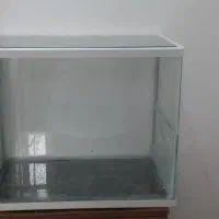 آکواریم