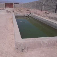 اجاره گلخانه و دامداری چترود|اجارهٔ دفتر صنعتی، کشاورزی، تجاری|کرمان, |دیوار