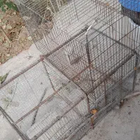 سه تا قفسه با قیمت مناسب