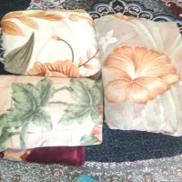 پتو|رختخواب، بالش، پتو|شیراز, تندگویان|دیوار