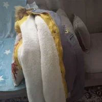 کاپشن داخل خزدار نومیباشد|لباس|فردوسیه, |دیوار