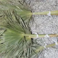 جارو  دستی