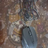 موس هیسکا نو|قطعات و لوازم جانبی رایانه|تبریز, |دیوار