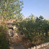 فروش باغچه کردان اغشت|فروش زمین و ملک کلنگی|کرج, مهرویلا جنوبی|دیوار