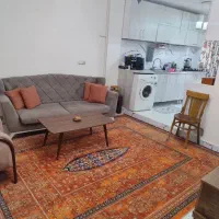 اجاره آپارتمان ۵۵ متری ۱ خوابه طبقه ۳ در حیدرآباد|اجارهٔ آپارتمان|کرج, حیدرآباد|دیوار