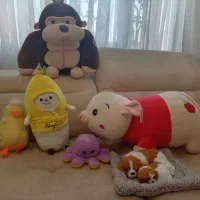 حراج عروسک های پولیشی