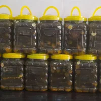 کشمش پلویی بادمجون شور عناب ادویه عرقیات سبزی|خوردنی و آشامیدنی|نیشابور, فضل|دیوار