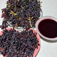 آب زرشک طبیعی|خوردنی و آشامیدنی|آزادشهر, |دیوار