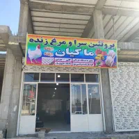 نیروی کار با تجربه